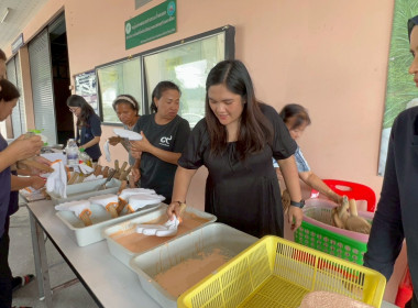 เข้าร่วมสังเกตการณ์ อบรมเชิงปฎิบัติการ ... พารามิเตอร์รูปภาพ 15